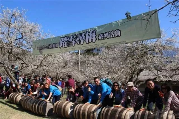 南投縣信義鄉：發揮地理優勢，打造梅子夢工廠