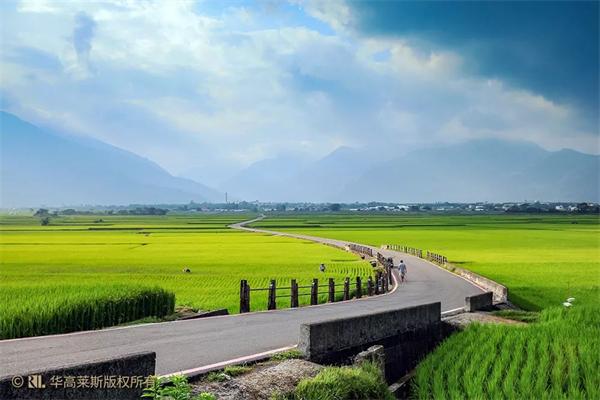 臺東縣池上鄉(xiāng)：稻米之鄉(xiāng)奏響四季樂章
