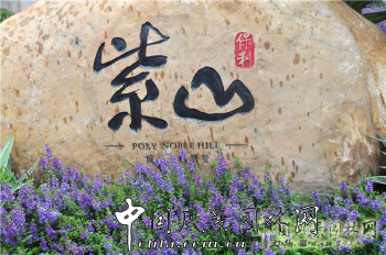 2015園冶杯住宅景觀獎(jiǎng)大獎(jiǎng)項(xiàng)目：保利紫山城心?山居墅
