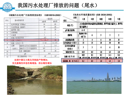 張飲江教授：水質(zhì)生態(tài)修復(fù)景觀構(gòu)建