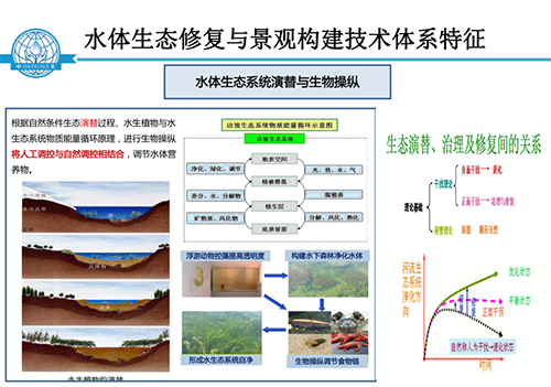 張飲江教授：水質(zhì)生態(tài)修復(fù)景觀構(gòu)建