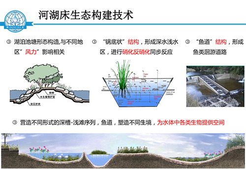 張飲江教授：水質(zhì)生態(tài)修復(fù)景觀構(gòu)建