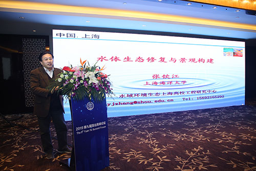 張飲江教授：水質(zhì)生態(tài)修復(fù)景觀構(gòu)建