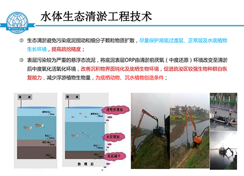 張飲江教授：水質(zhì)生態(tài)修復(fù)景觀構(gòu)建