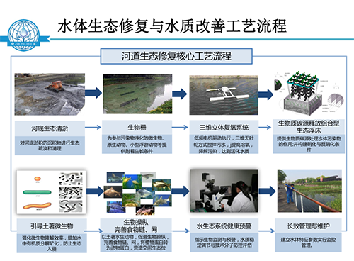 張飲江教授：水質(zhì)生態(tài)修復(fù)景觀構(gòu)建