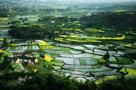 如何推動鄉(xiāng)村與小城鎮(zhèn)協(xié)同發(fā)展