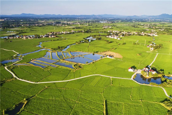 段進院士：規(guī)劃城市設(shè)計指南的思考