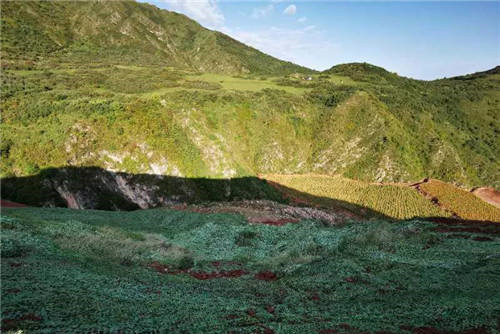 花式復綠暴露出哪些問題？