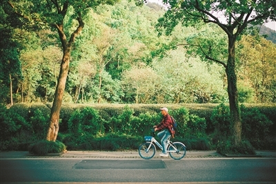 專家杭州為公園城市建設(shè)出謀劃策