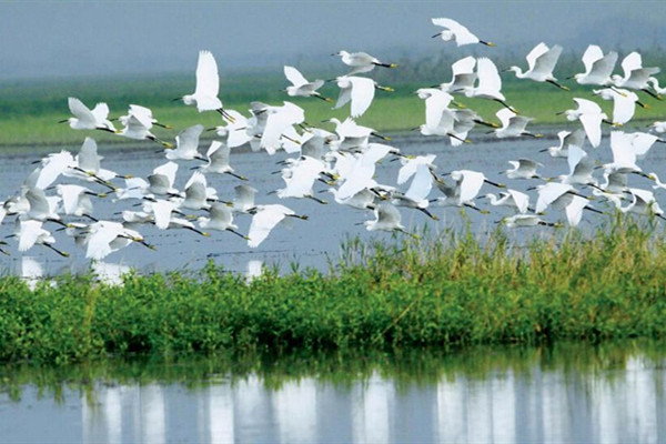 新的自然保護(hù)地管理體系優(yōu)勢何在