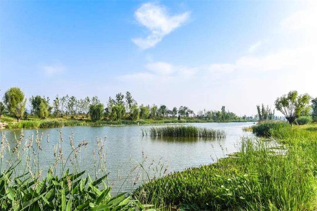 生態(tài)保護(hù)修復(fù)考驗國土空間治理能力