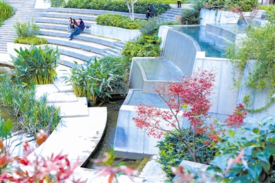 專家：多途徑打造綠色健康人居環境