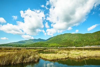 科學務實構建生態修復新格局
