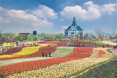 打造最美花海，需要怎么做？