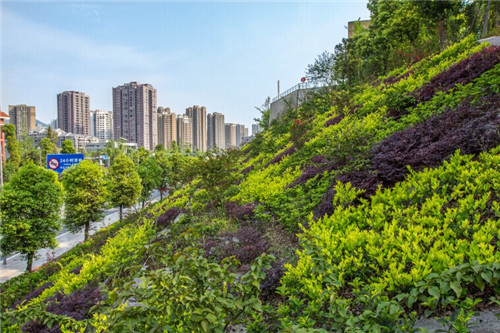 規(guī)劃城市綠化不妨“立起來(lái)思考”