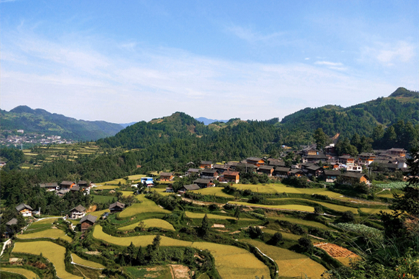 鄉(xiāng)村振興,設(shè)計師如何大有作為?