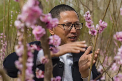 代樹剛:讓京城百姓看得見梅花