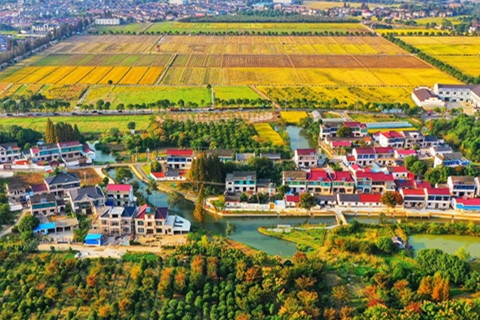 清華美院聯(lián)合編制江蘇首個鄉(xiāng)村建設(shè)美學導則發(fā)布