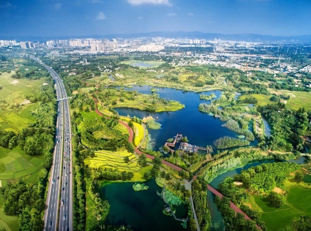 專家：公園城市是一棵“設(shè)計(jì)之樹”