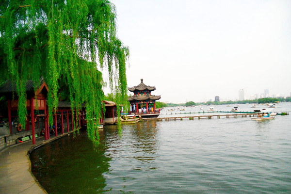 為城市綠化劃道線，濟(jì)南綠線管理辦法征求意見(jiàn)