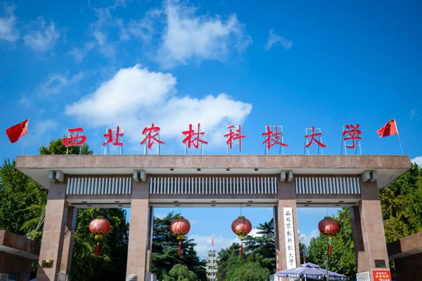 西北農(nóng)林科大風景園林藝術(shù)學院男生偷拍女廁被拘