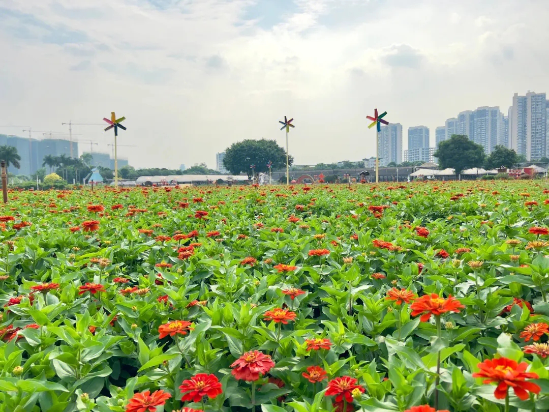 廣西：探索“公園+”新模式，共享城市綠意
